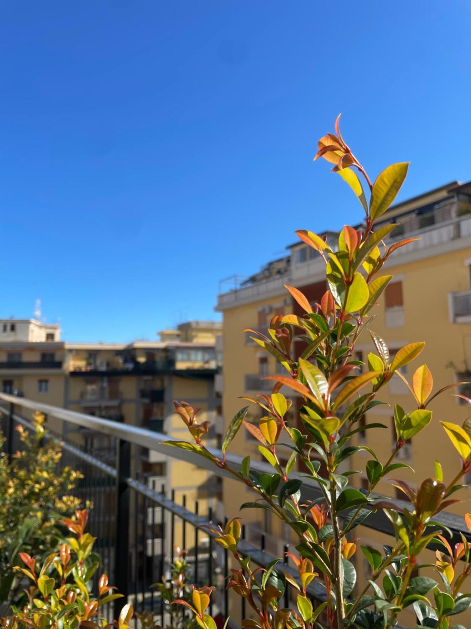 Terrazza L Emiro Casa Vacanze Apartment Palermo Ngoại thất bức ảnh